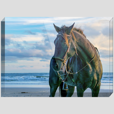 Acrylic Blocks - Hoofs in The Sand