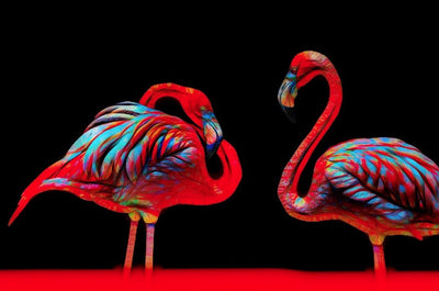 Gallery Canvas Prints -Neon Flamingos