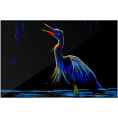 Metal Prints - Bird Glow