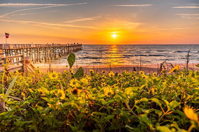 Gallery Canvas Prints -Flagler Pier Wildflowers