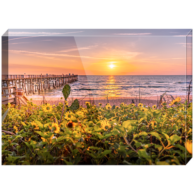 Acrylic Blocks - Flagler Beach Pier Wild Flowers