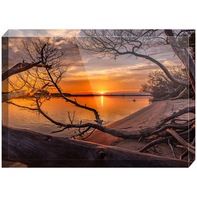 Acrylic Blocks - Natural Habitat Sunset