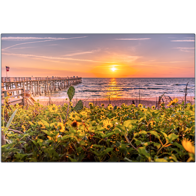 Metal Prints - Flagler Pier Wild Flowers